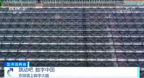 數(shù)字時代 把水稻種到“云端” 數(shù)字時代 把水稻種到“云端”