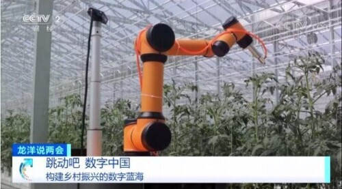 構(gòu)建鄉(xiāng)村振興的數(shù)字藍海 構(gòu)建鄉(xiāng)村振興的數(shù)字藍海