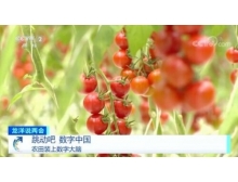 日喀則市兩會關注數(shù)字農業(yè)，構建鄉(xiāng)村振興的數(shù)字藍海